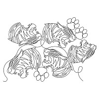 tiger face pano 002
